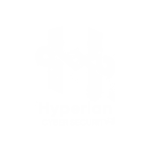 HyperLan-Cybersecurity.png