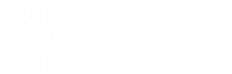 LCB-IT-SOLUTION.png
