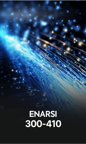 Enarsi.png