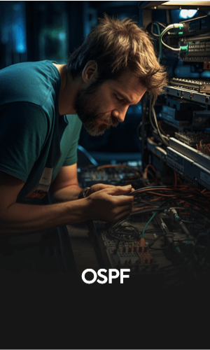 OSPF.png