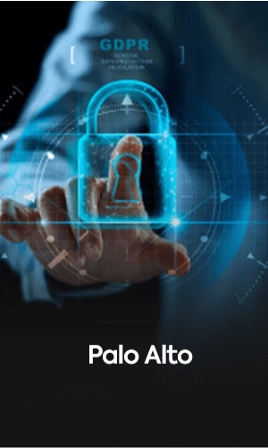 Palo-Alto.png